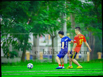 两场比赛的统计数据并列对比